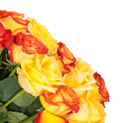 Similar image 515656