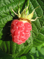 Similar image 515668