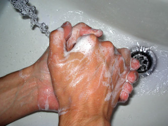 Similar image 515687