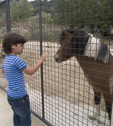 Similar image 515698