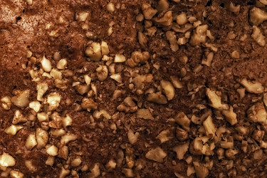 Similar image 515708