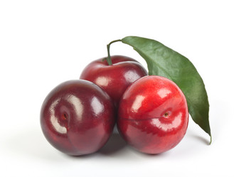 Similar image 515713