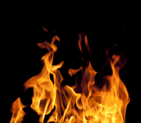 Similar image 515716