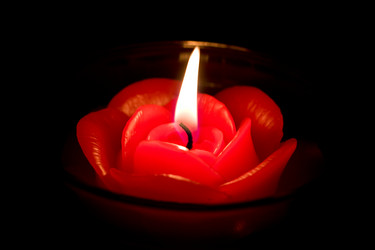 Similar image 515725