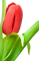 Similar image 515733