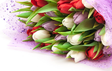 Similar image 515758