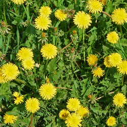 Similar image 515761