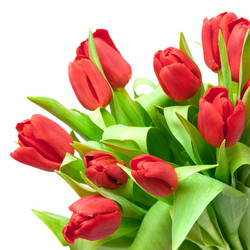 Similar image 515762