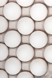 Similar image 515765