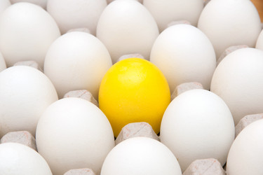 Similar image 515772