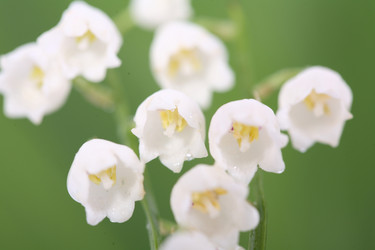 Similar image 515777