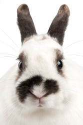 Similar image 515781