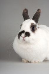 Similar image 515786