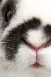 Similar image 515789