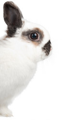 Similar image 515790