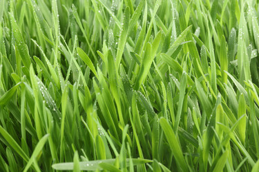 Similar image 515800