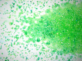 Similar image 515805