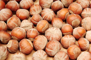 Similar image 515806