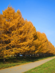 Similar image 515818