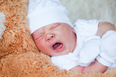 Similar image 515821