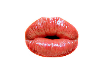 Similar image 515826