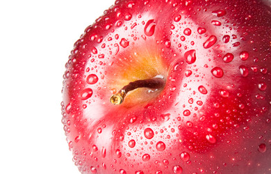 Similar image 515829