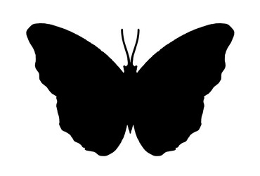 Similar image 515859