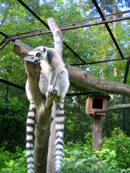 Similar image 515870