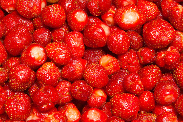 Similar image 515872