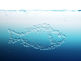 Similar image 515875