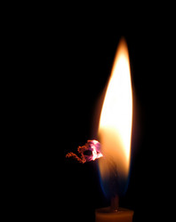 Similar image 515888