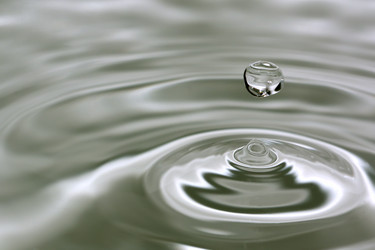 Similar image 515909