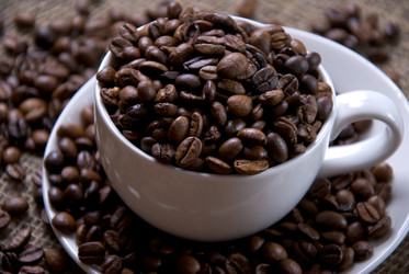 Similar image 515923