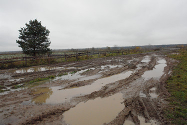 Similar image 515975