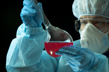 Similar image 515985