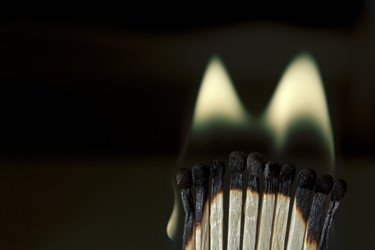 Similar image 515994