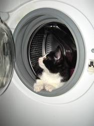 Similar image 516002