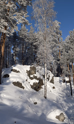 Similar image 516037