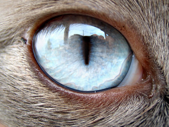 Similar image 516069