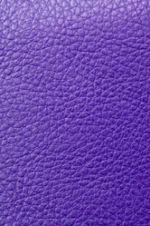 Similar image 516090