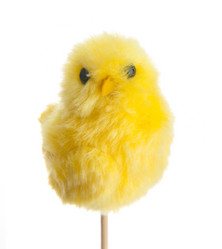 Similar image 516107