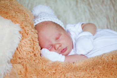 Similar image 516144