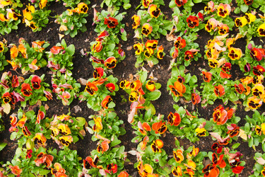 Similar image 516151