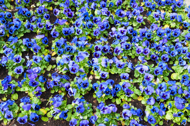 Similar image 516152