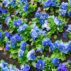 Similar image 516154