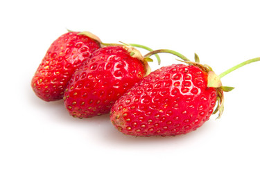 Similar image 516160