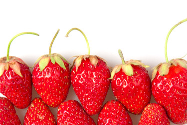 Similar image 516163