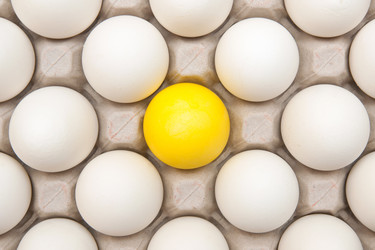 Similar image 516178