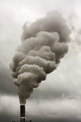 Similar image 516195