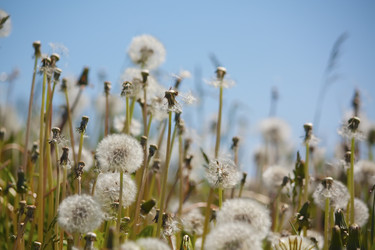 Similar image 516209